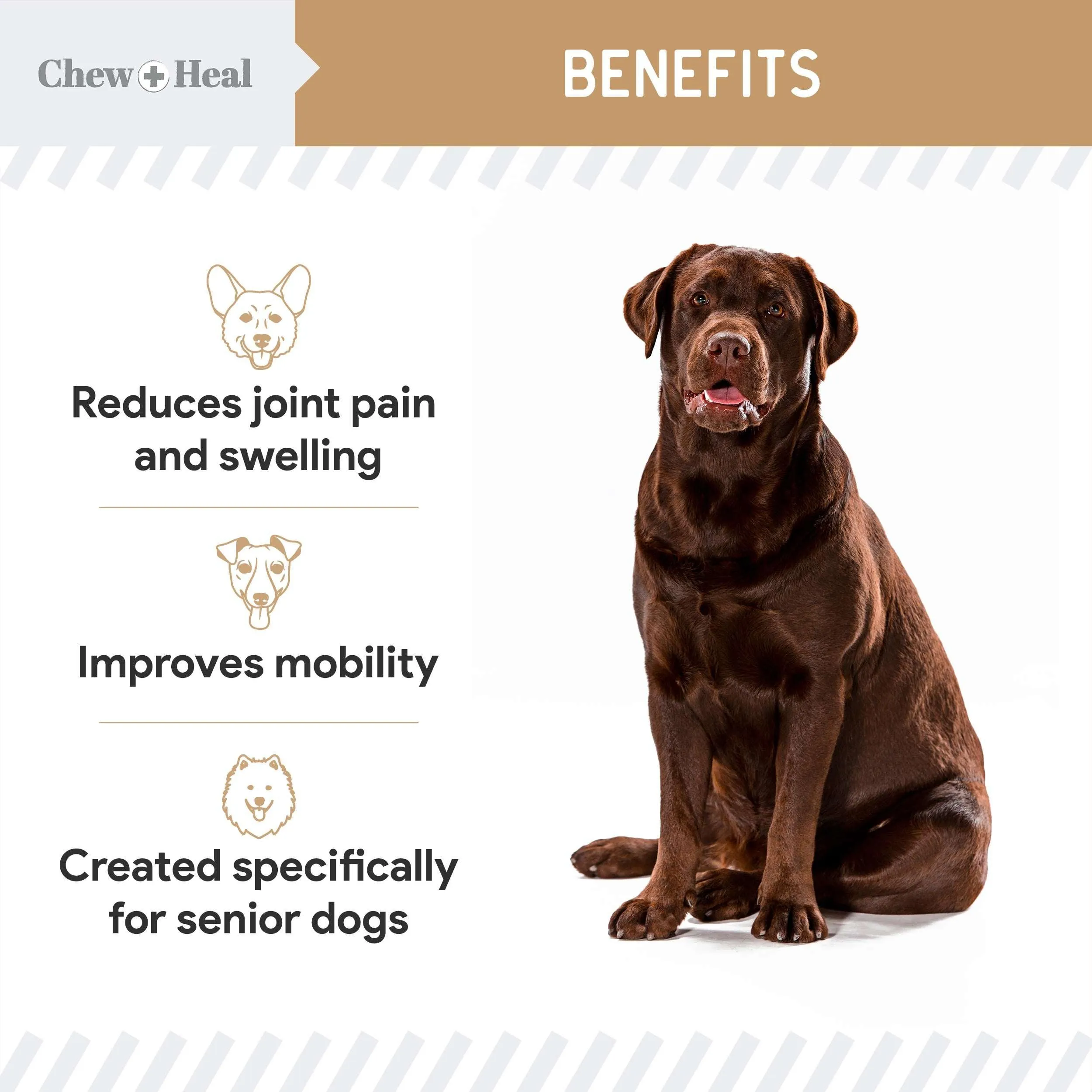 Chew   Heal Glucosamine for Senior Dogs Hip and Joint - 120 Peanut Butter Flavor Soft Chews