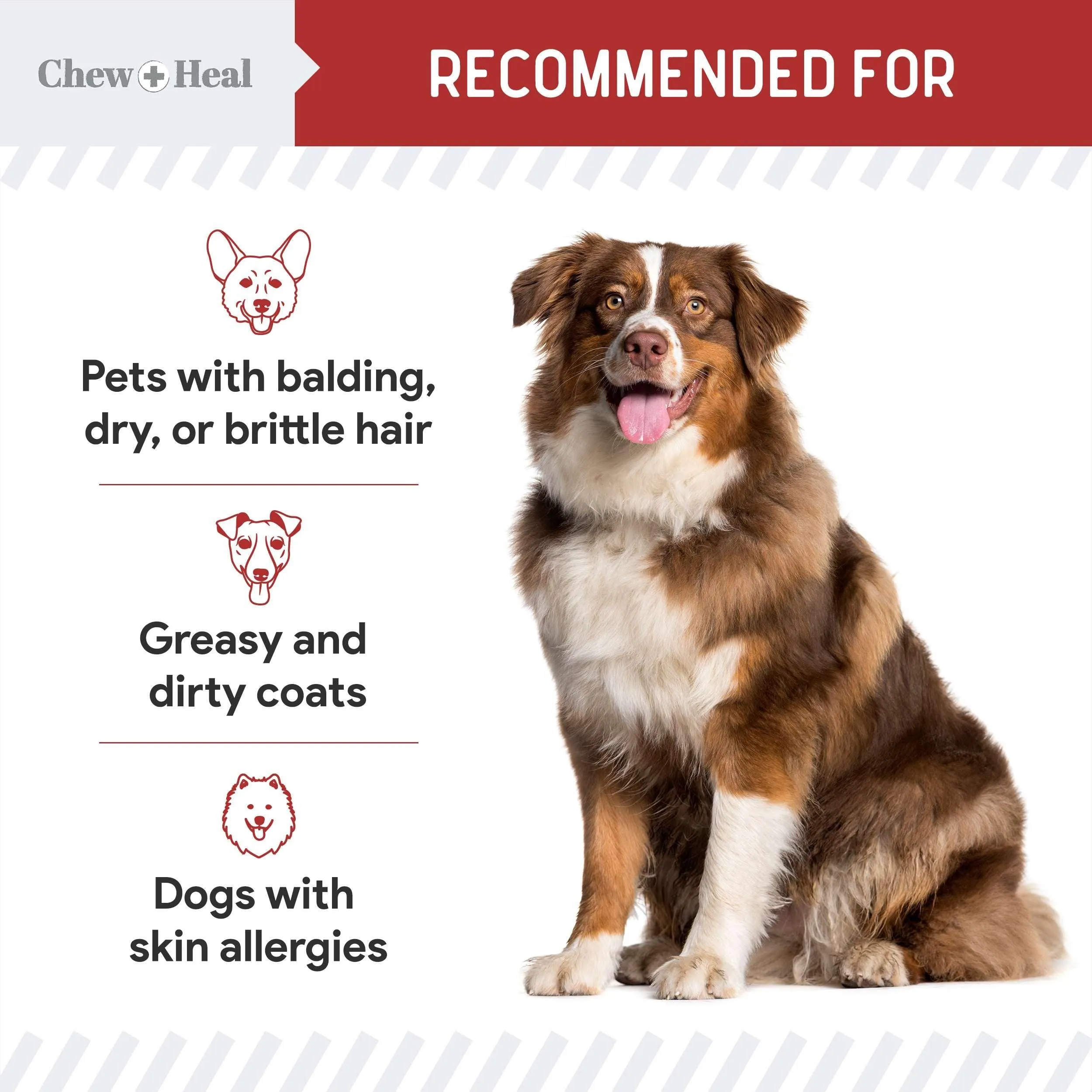 Chew   Heal Omega Skin and Coat for Dogs - 180 Chews - Smoked Bacon Flavor