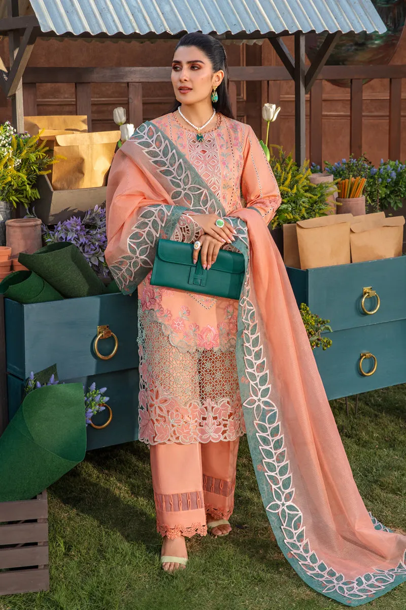 Rang Rasiya Luxury Festive Lawn Collection – Rania