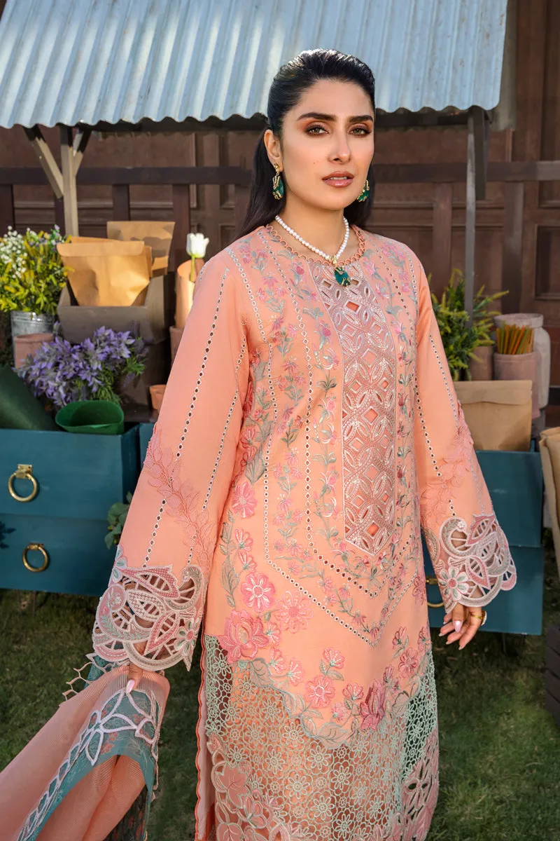 Rang Rasiya Luxury Festive Lawn Collection – Rania