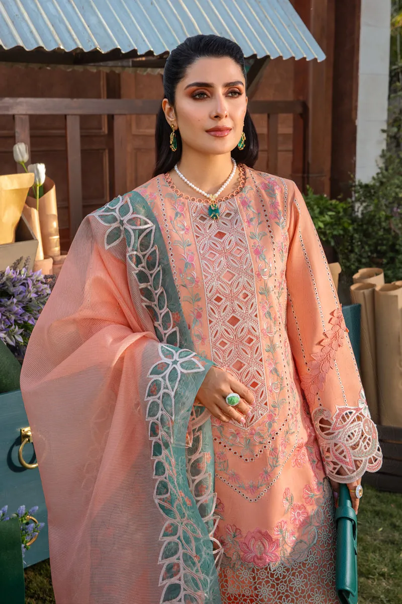 Rang Rasiya Luxury Festive Lawn Collection – Rania