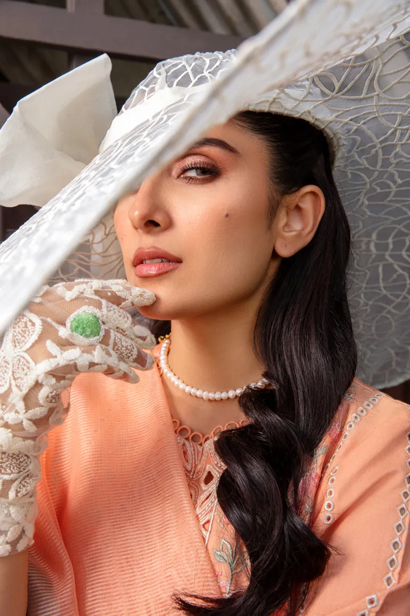 Rang Rasiya Luxury Festive Lawn Collection – Rania